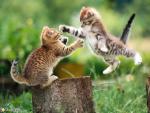 Bienvenue � tous